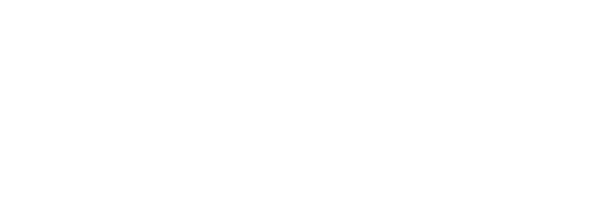 Primary Logo (White)